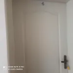 стонел *