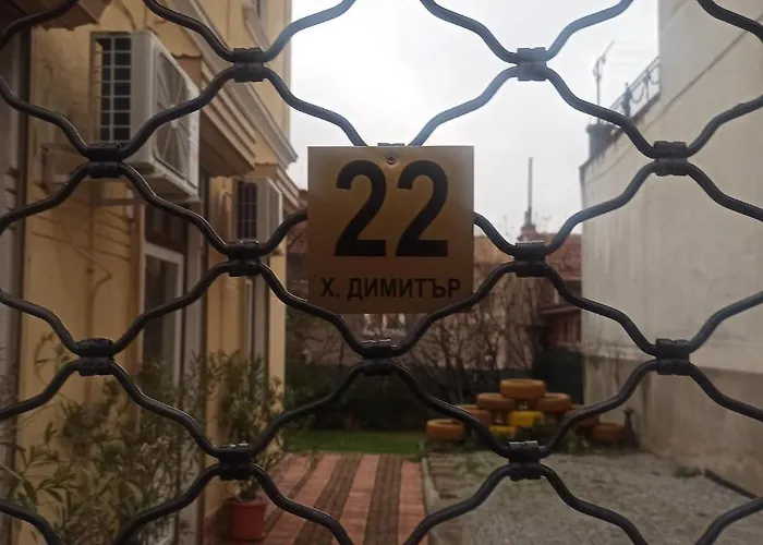 стонел Daire *